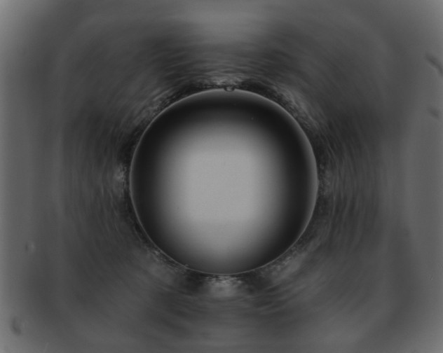 X0000093220321200709261637