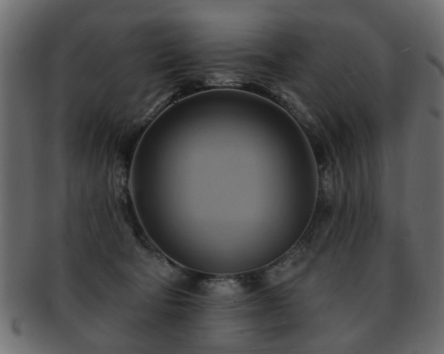 X0000093220322200709261637