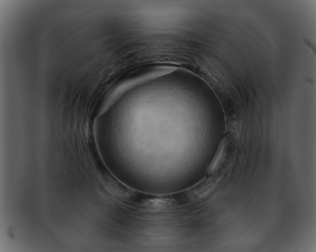 X0000093220323200709261637