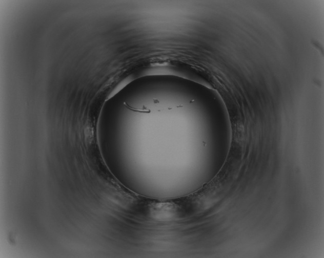 X0000093220324200709261637