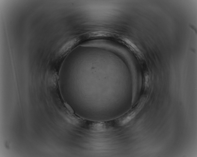 X0000093220325200709261637