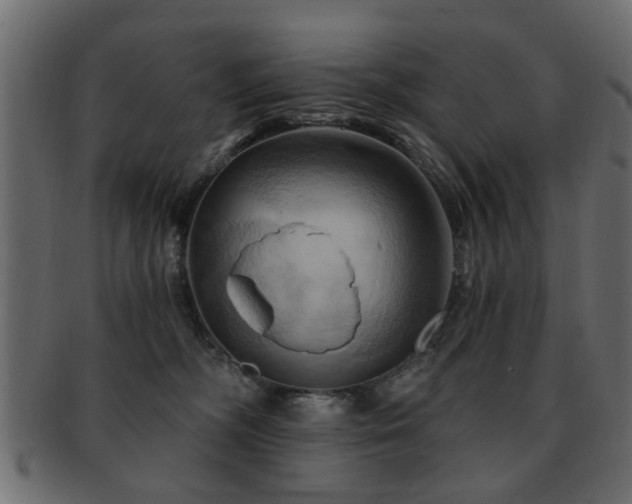 X0000093220326200709261637