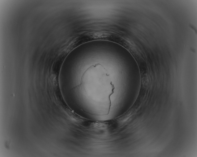 X0000093220327200709261637