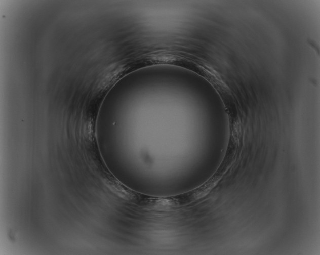 X0000093220330200709261637