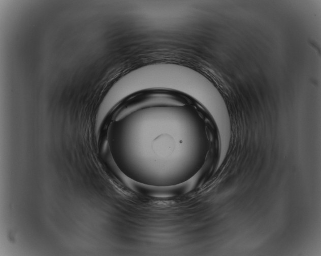 X0000093220333200709261636