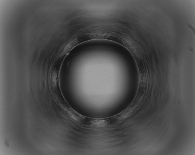 X0000093220334200709261636