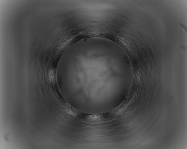 X0000093220335200709261636