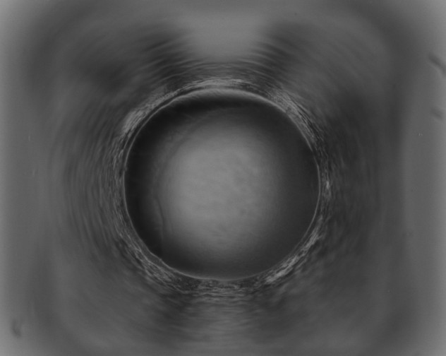X0000093220337200709261636