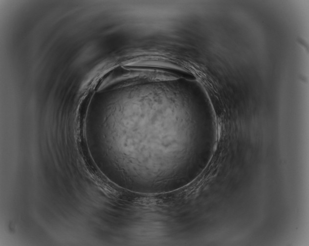 X0000093220339200709261636