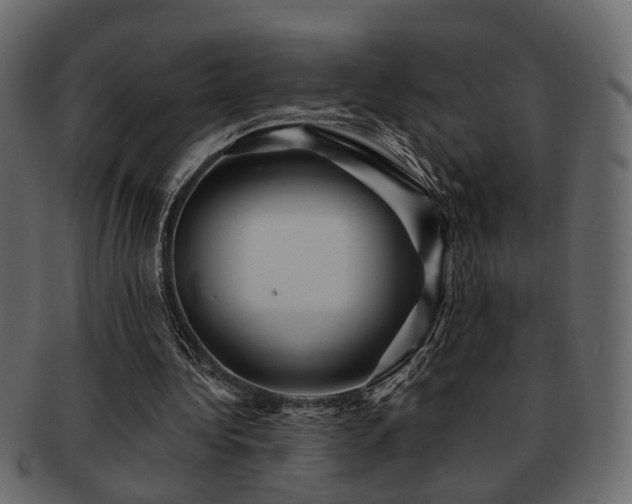 X0000093220340200709261636