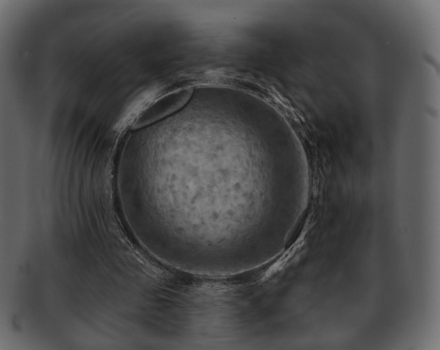 X0000093220341200709261636