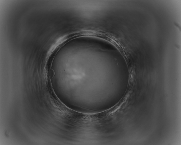 X0000093220343200709261636