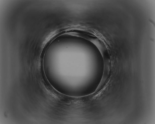 X0000093220344200709261636