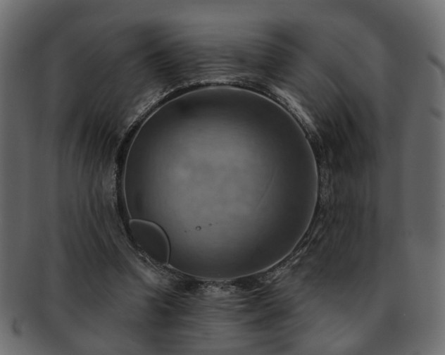 X0000093220346200709261636