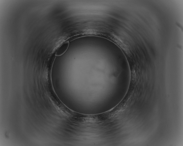 X0000093220347200709261636