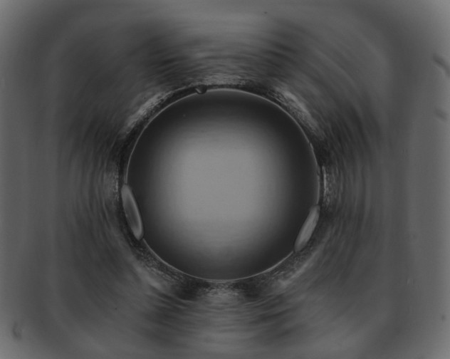 X0000093220348200709261636