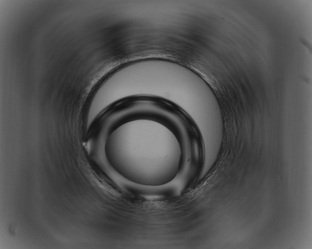 X0000093220350200709261636