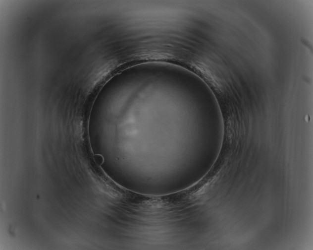 X0000093220351200709261636
