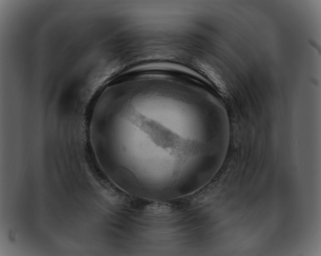 X0000093220354200709261636