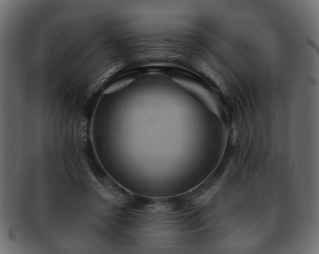 X0000093220356200709261636