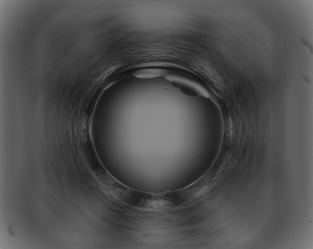 X0000093220360200709261636