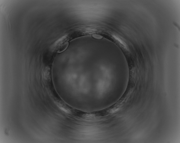 X0000093220361200709261636