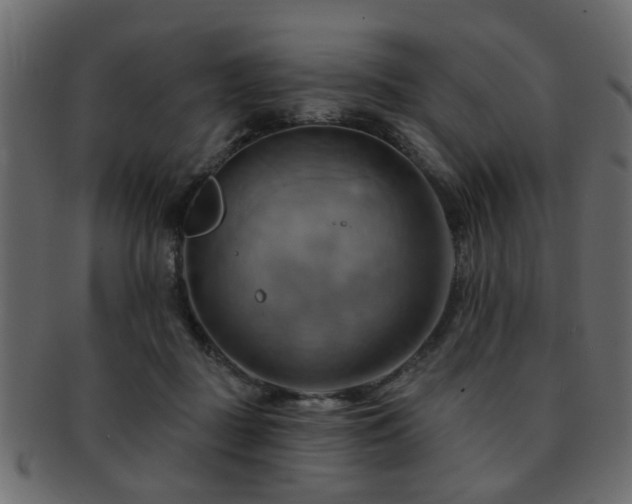 X0000093220363200709261636