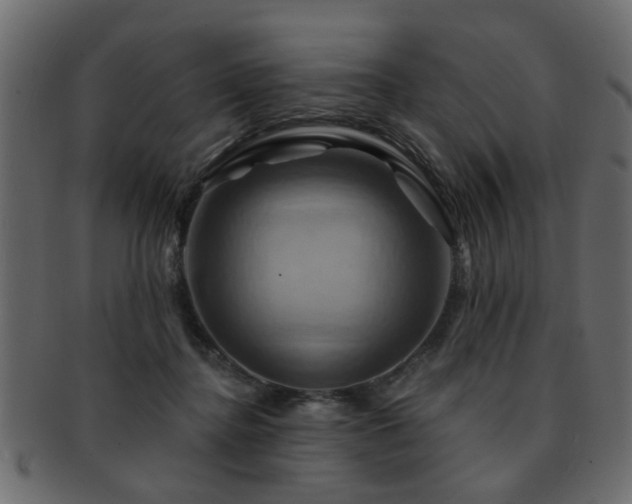 X0000093220364200709261636