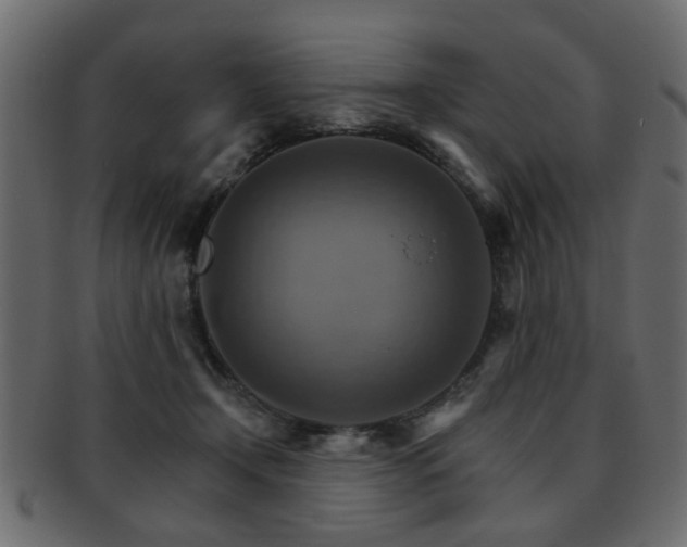 X0000093220366200709261636