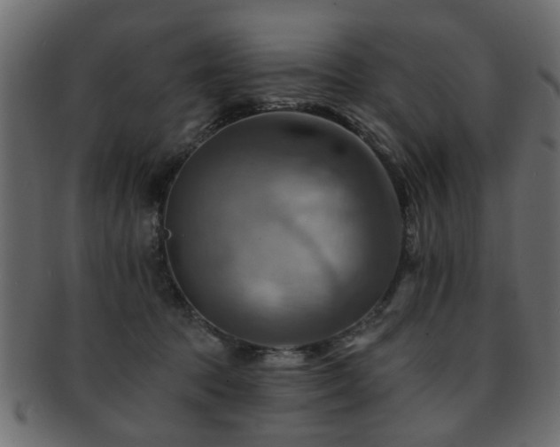 X0000093220369200709261636