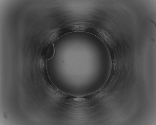 X0000093220371200709261636