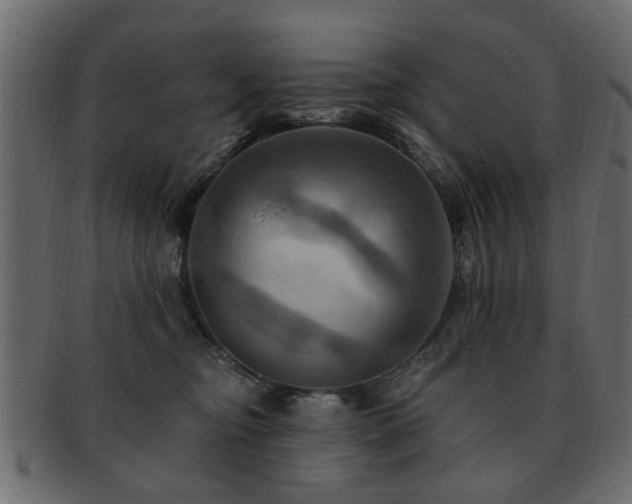 X0000093220374200709261636