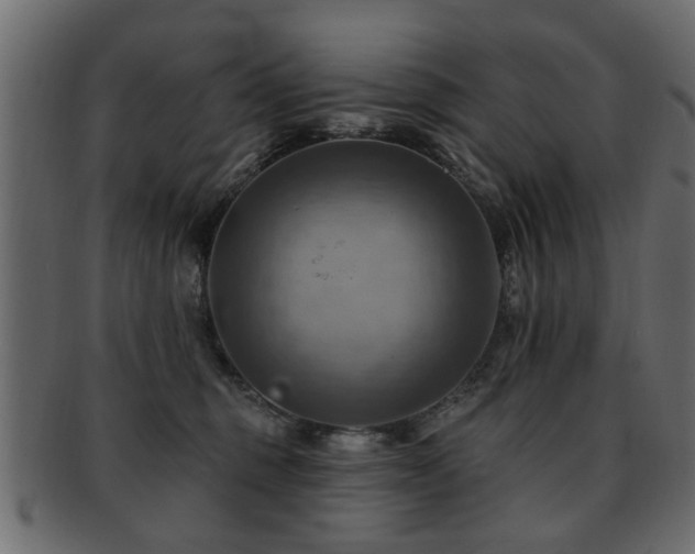 X0000093220375200709261636