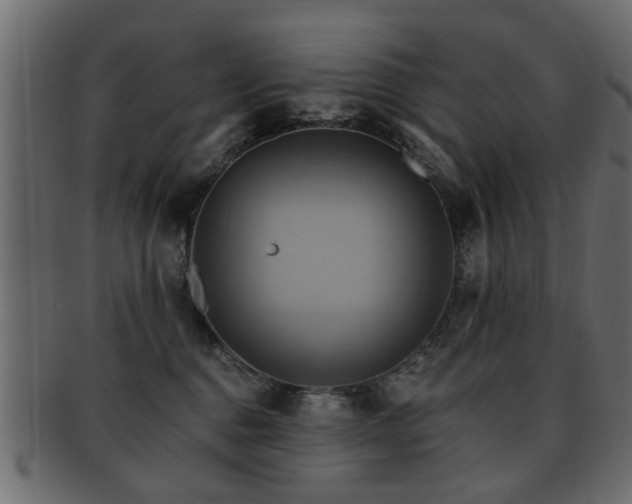 X0000093220376200709261636