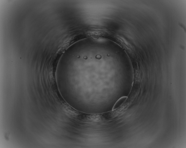 X0000093220377200709261636