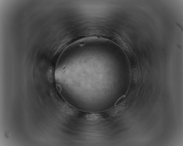 X0000093220378200709261636