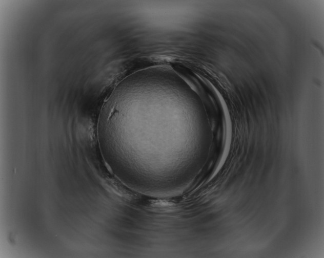 X0000093220380200709261636