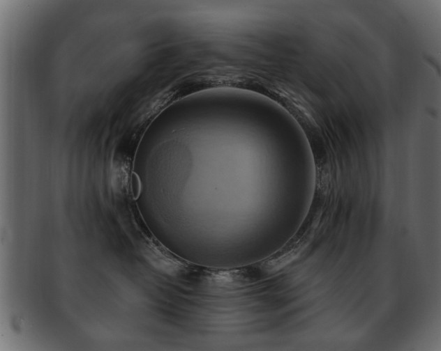 X0000093220382200709261636