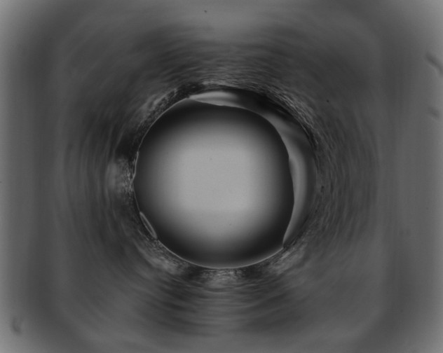 X0000093220384200709261636
