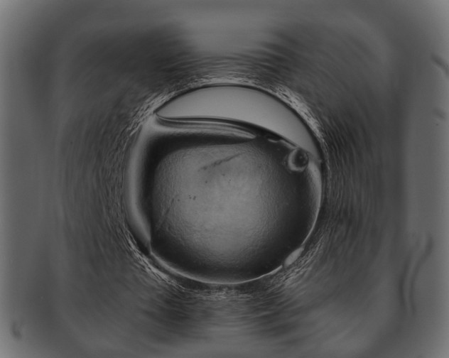 X0000093220385200709261636