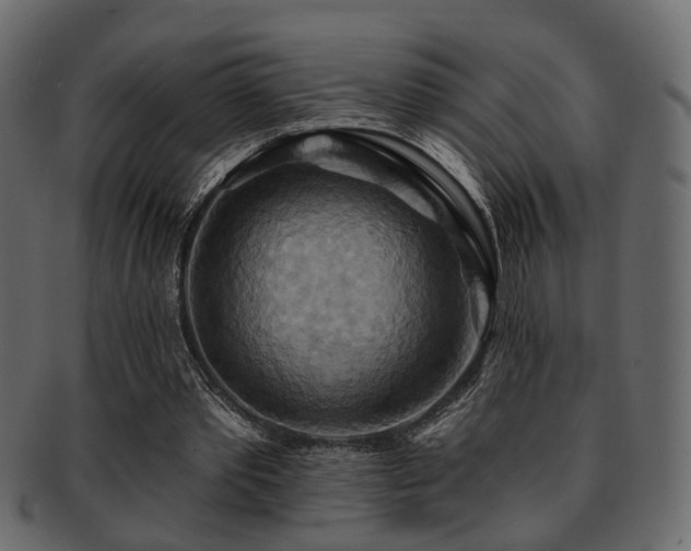 X0000093220389200709261636
