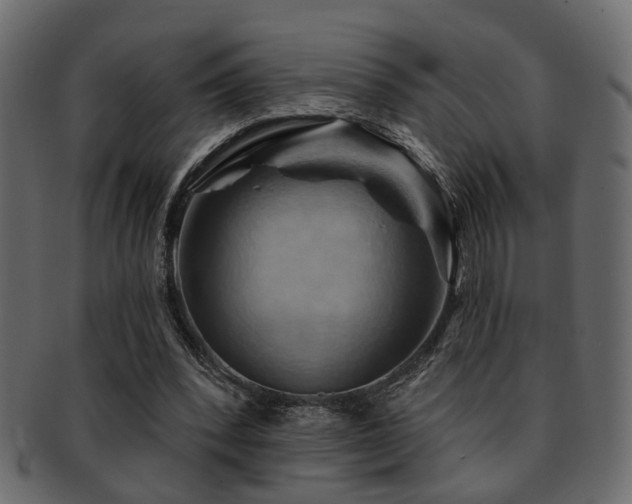 X0000093220392200709261636