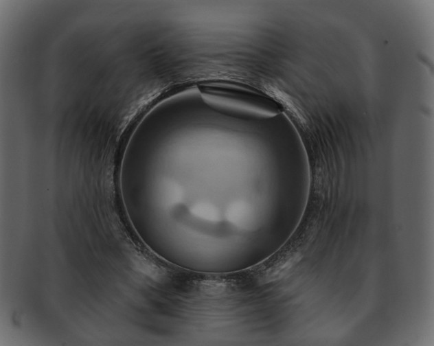 X0000093220394200709261636