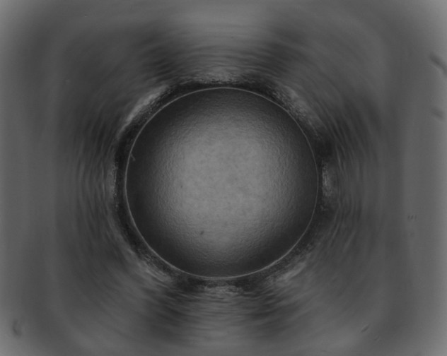 X0000093220396200709261636