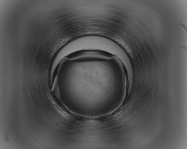 X0000093220397200709261636