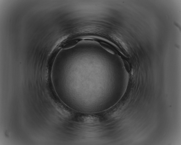 X0000093220400200709261636
