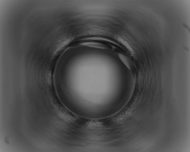 X0000093220403200709261636