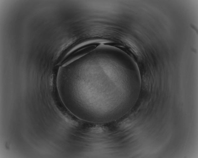 X0000093220404200709261636