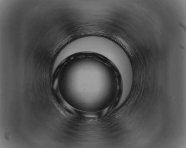 X0000093220405200709261636