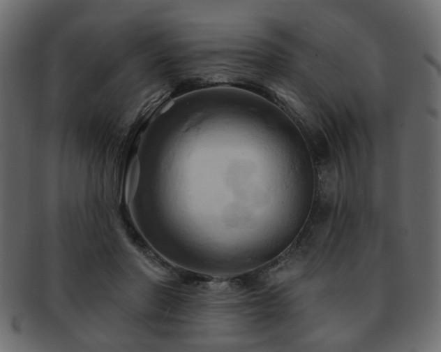X0000093220406200709261636